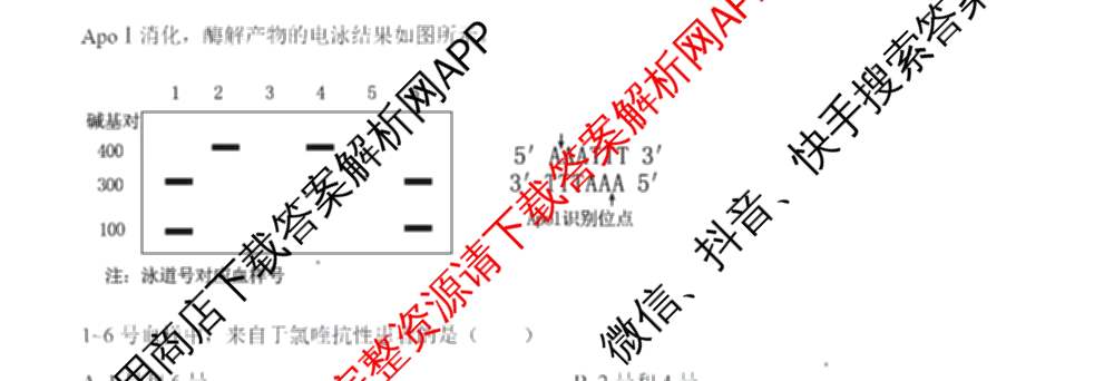 2024年高考真题(新高考)(已更新生物(山东卷) 数学(新课标II卷) 物理(河北卷)等108份)生物试题