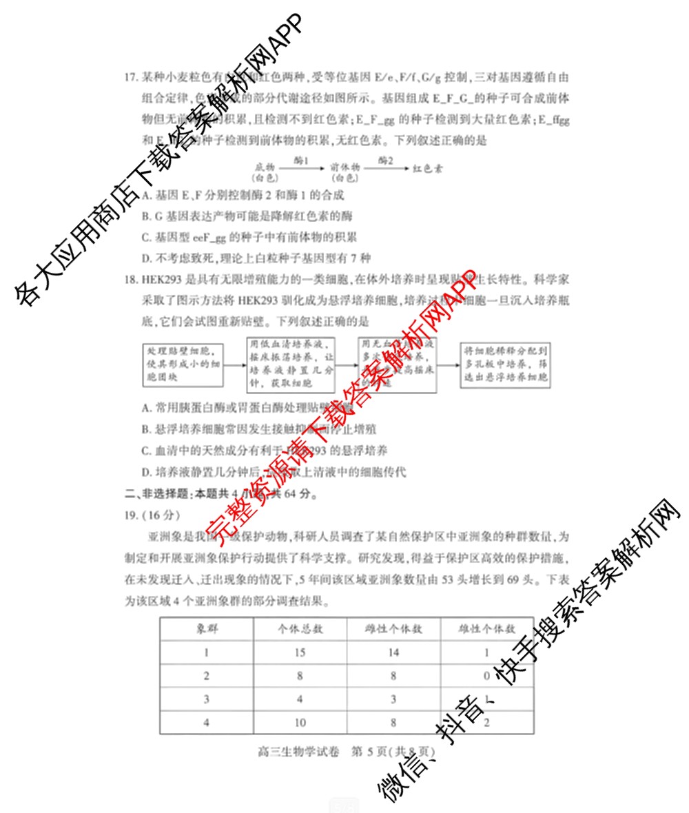 湖北省武汉市2026届高中毕业生三月调研考试2026.3.11（含化学 数学 物理等11份）生物试题