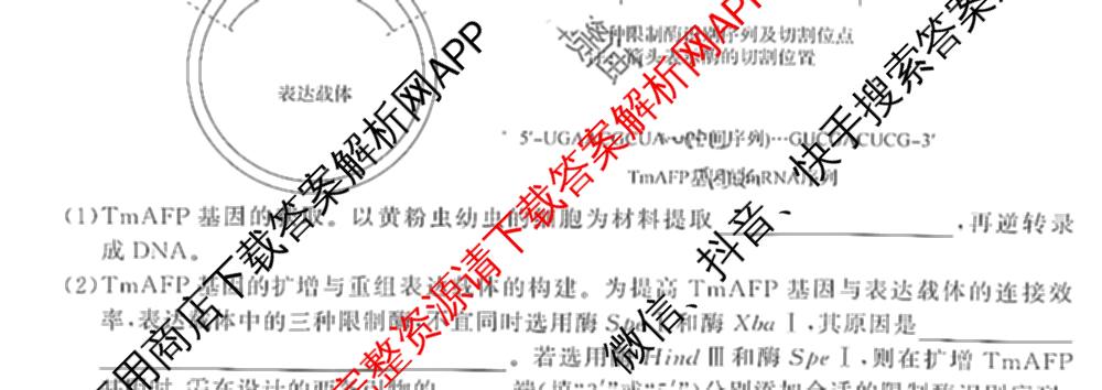 湖南天壹名校联盟2025年上学期高二3月大联考试卷及答案汇总（含化学 物理(B) 英语等）生物试题