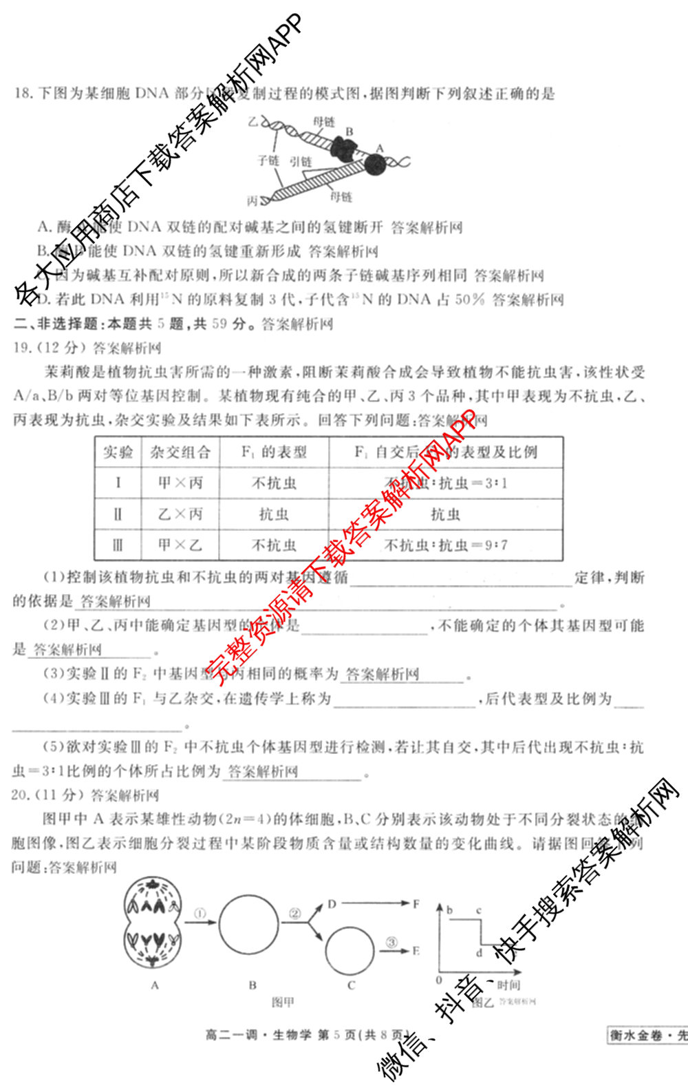 衡水金卷先享题月考卷2025-2026学年度上学期高二年级一调考试各科答案及试卷(已更新化学(人教版) 地理(人教版) 政治等9份)生物试题