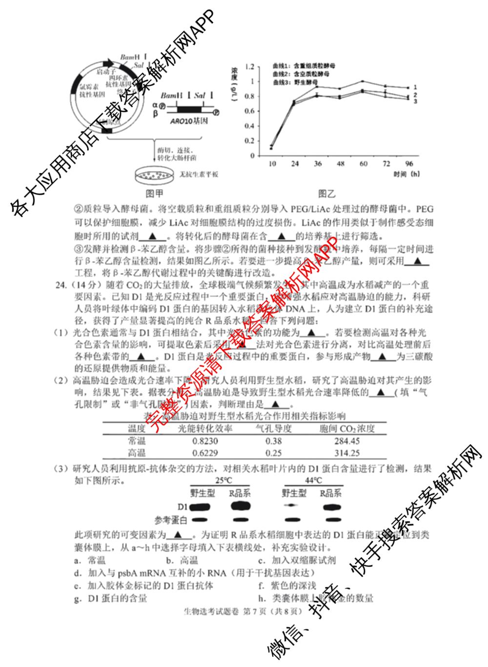 2024年11月稽阳联谊学校高三联考试卷及答案汇总: 含地理、政治、英语试卷解析生物试题