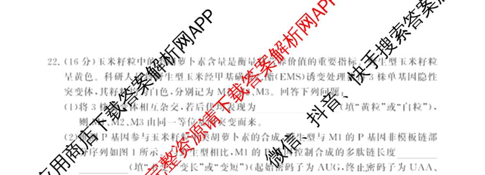 2025届高三部分重点中学3月联合测评(T8联考)(第二次八省联考)(已更新化学(HBZB)、历史(SXZB)、语文等25份)生物试题