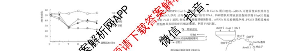天舟高考衡中同卷2026年普通高等学校招生全国统一考试模拟信息卷(一)1各科答案及试卷（含化学(山东版) 历史(HJ) 生物(DS)等）生物试题