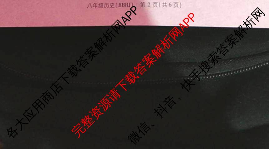 河南省2025春初中学业水平期中质量检测试卷八年级试卷及答案汇总（8科全）历史试题