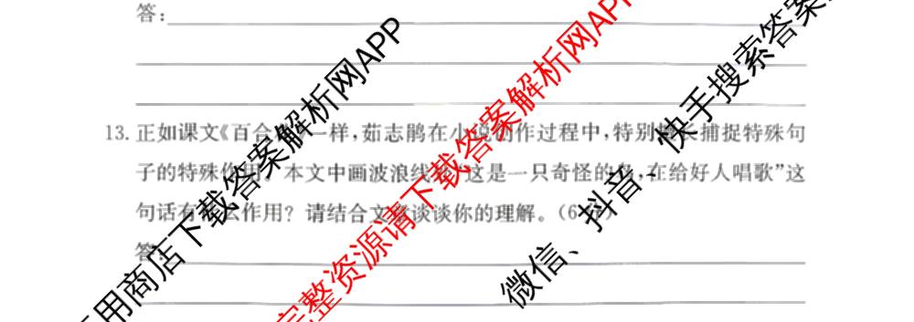 2026年湖南省普通高中学业水合格性考试信息卷(模拟四)（含物理、地理、生物等9份）语文试题