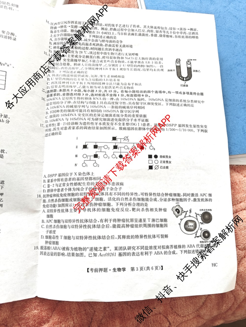 九师联盟2025届高三5月考前冲刺(一)（含地理(N)、政治、英语(无字母)等45份）生物试题