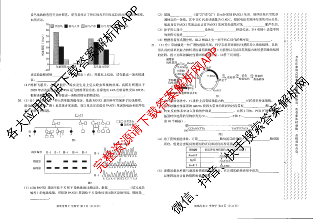 学科网2025届高三4月大联考试卷及答案汇总（含物理(新高考卷C) 文综(新课标卷) 英语(新课标卷A)等）生物试题