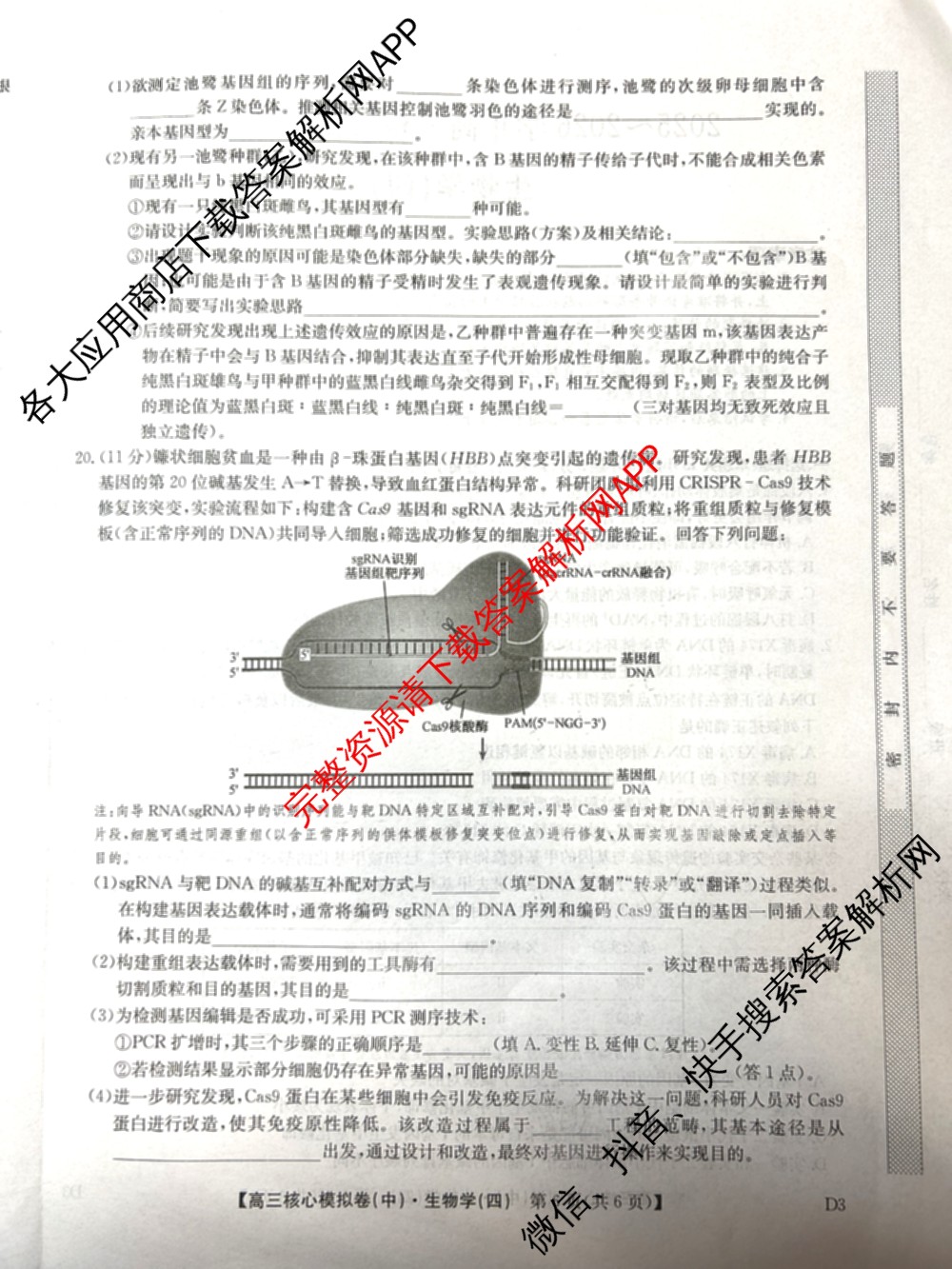 九师联盟2025~2026学年高三核心模拟卷(中)(四)试卷及答案汇总（36科全）生物试题