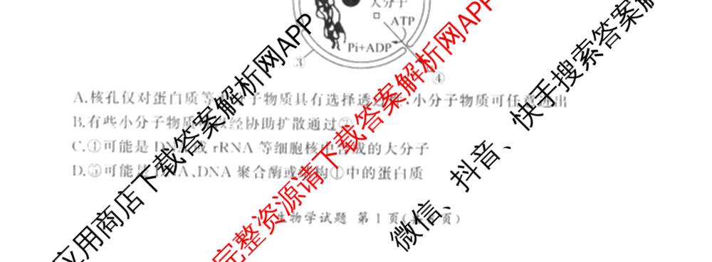 百师联盟2026届高三考前适应性训练(五)试卷及答案汇总（含生物(百F)、生物(百G)、英语(百)等）生物试题