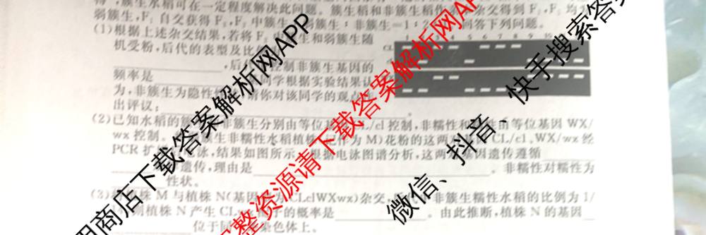 2026届高三总复习名师原创模拟(五)5各科答案及试卷（含政治(XS6JG)、化学(新S6J)、物理(CQX6)等39份）生物试题