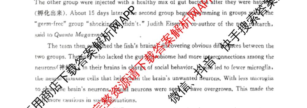 2025届高三部分重点中学3月联合测评(T8联考)(第二次八省联考)(已更新化学(HBZB)、历史(SXZB)、语文等25份)英语试题