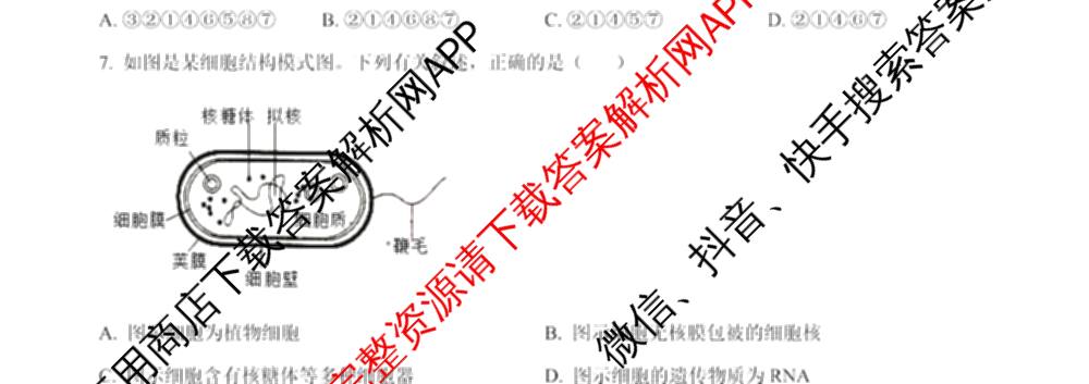 成都市列五中学2025-2026学年度(上)阶段性考试(一)高2025级试卷及答案汇总(已更新政治、数学、化学等9份)生物试题
