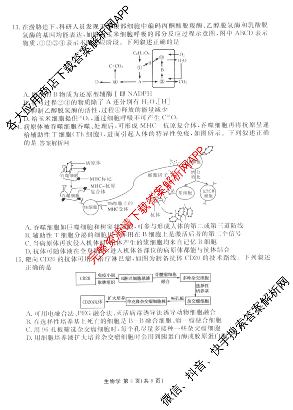 衡水金卷2025-2026学年度高三年级适应性测试(一)各科答案及试卷(已更新物理 生物 语文等9份)生物试题