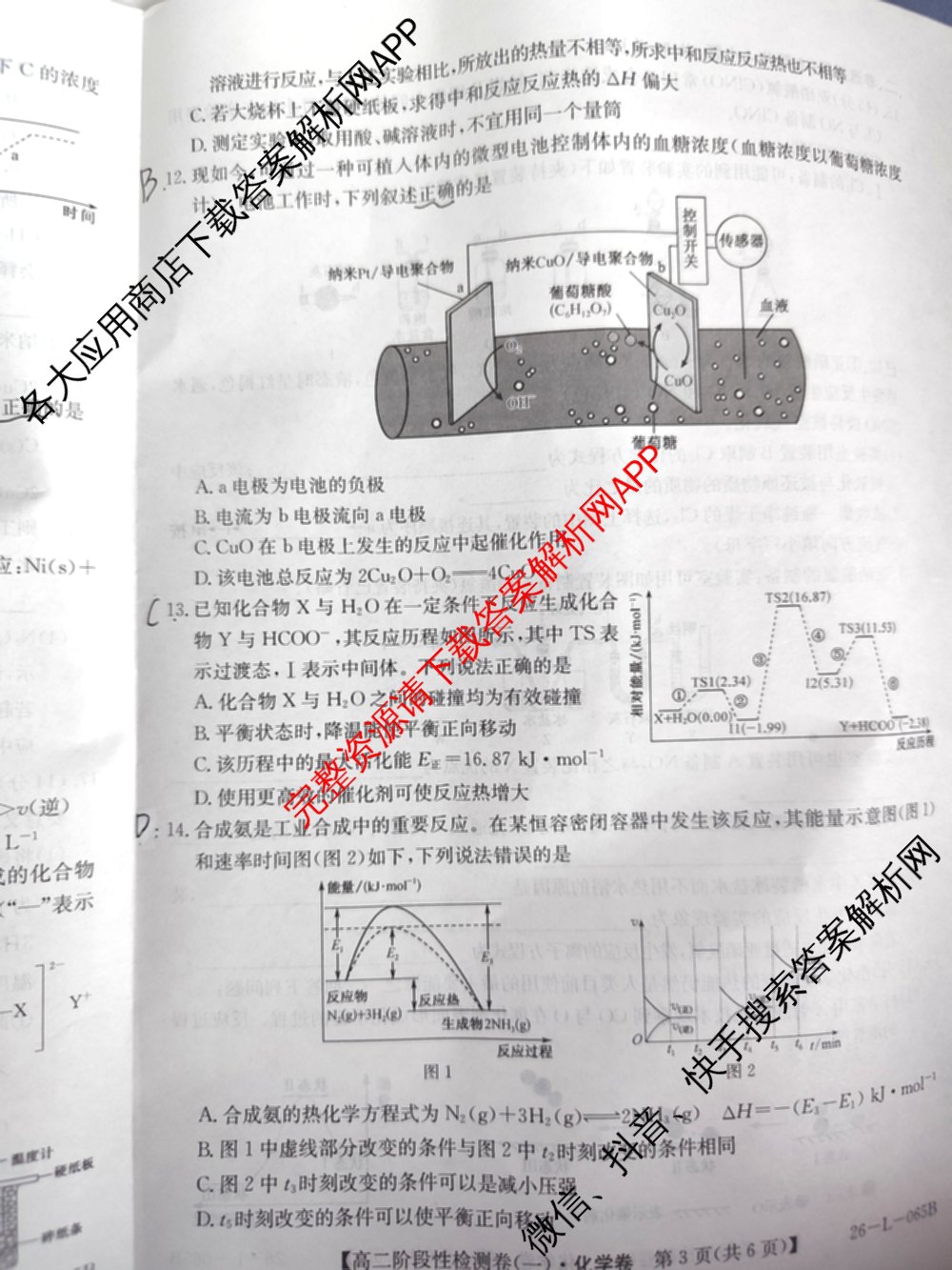 陕西省2024级高二第一学期阶段性检测卷(一)(26-L-065B): 含生物 地理 物理试卷解析化学试题