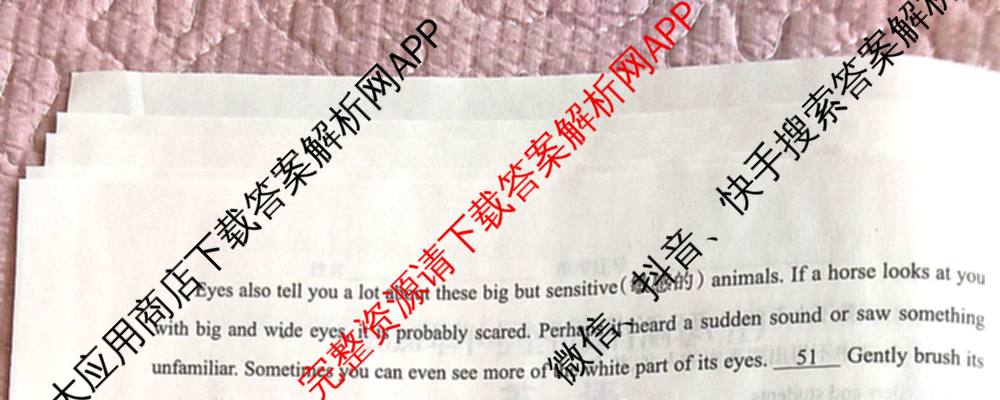 晋文源2026年中考全仿真自测卷(四)4（含化学、数学、英语等）英语试题