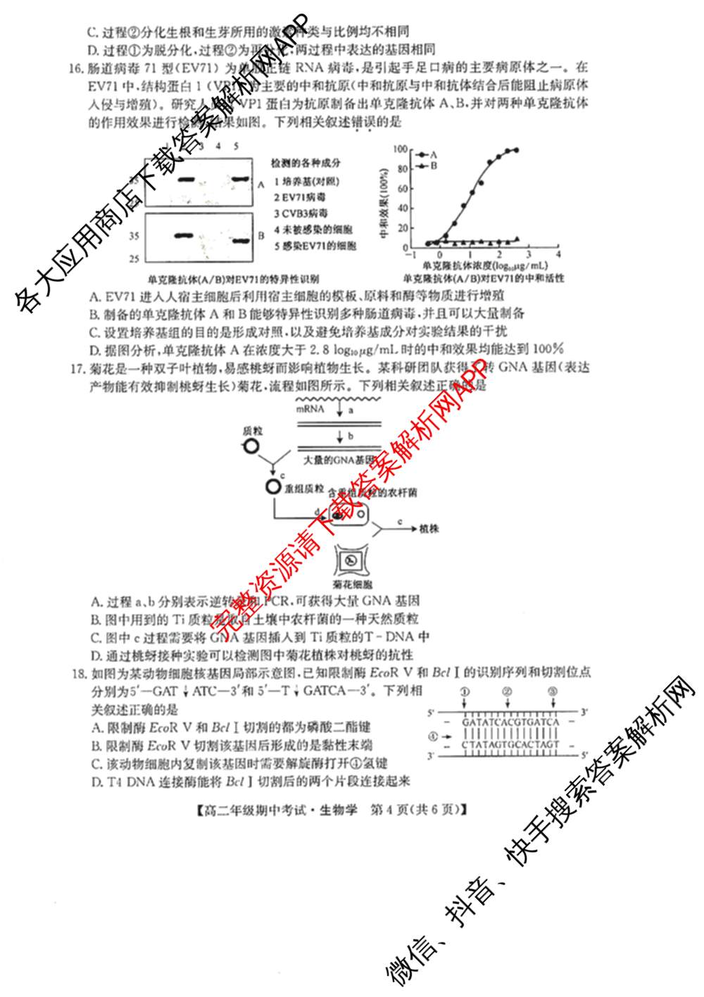 河北省2024~2025学年度第二学期高二年级期中考试（含化学 政治 英语等9份）生物试题