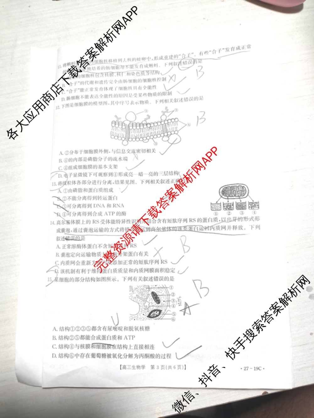 陕西省2027届高三考试(27-19C)试卷及答案汇总（含物理、历史(B2)、政治等10份）生物试题