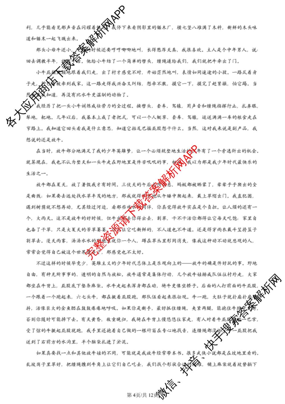 2024年高考真题(新高考)(已更新生物(山东卷) 数学(新课标II卷) 物理(河北卷)等108份)语文试题