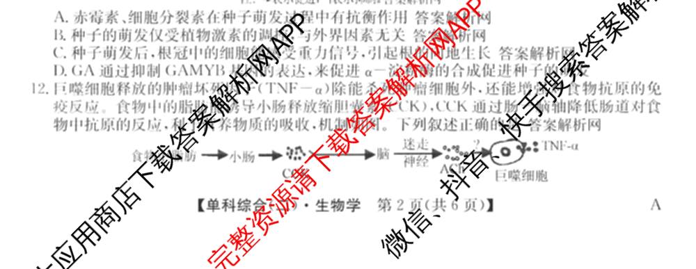 2026年高考单科综合模拟信息卷(二)2各科答案及试卷: 含英语、政治(C)、物理(A)试卷解析生物试题