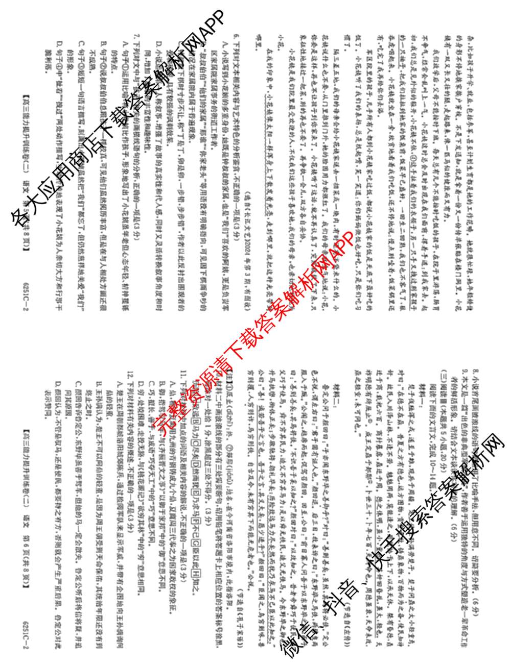 甘肃省临洮二中2026届能力提升训练卷(二)(6251C-2)（含英语、数学、政治等9份）语文试题