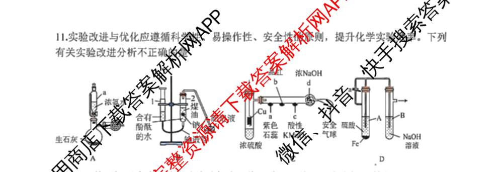 辽宁省大连市滨城高中联盟2024-2025学年度下学期高一4月份考试: 含政治 数学 物理试卷解析化学试题