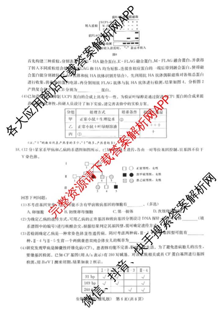 炎德英才大联考雅礼中学2025届模拟试卷(二)各科答案及试卷(已更新化学 政治 物理等9份)生物试题