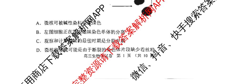 石景山区2026年高三统一练(3月)试卷及答案汇总: 含地理 生物 英语试卷解析生物试题