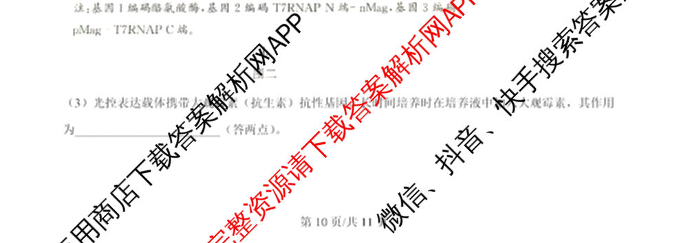 2024年高考真题(新高考)(已更新生物(山东卷) 数学(新课标II卷) 物理(河北卷)等108份)生物试题