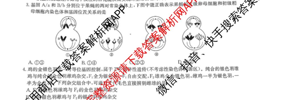 九师联盟2025届高三5月考前冲刺(一)（含地理(N)、政治、英语(无字母)等45份）生物试题