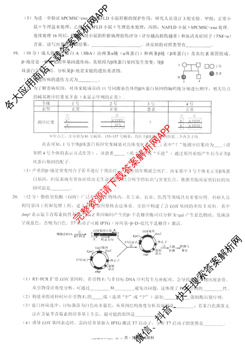 重庆康德2026届重庆市高考模拟调研卷(六)（9科全）生物试题