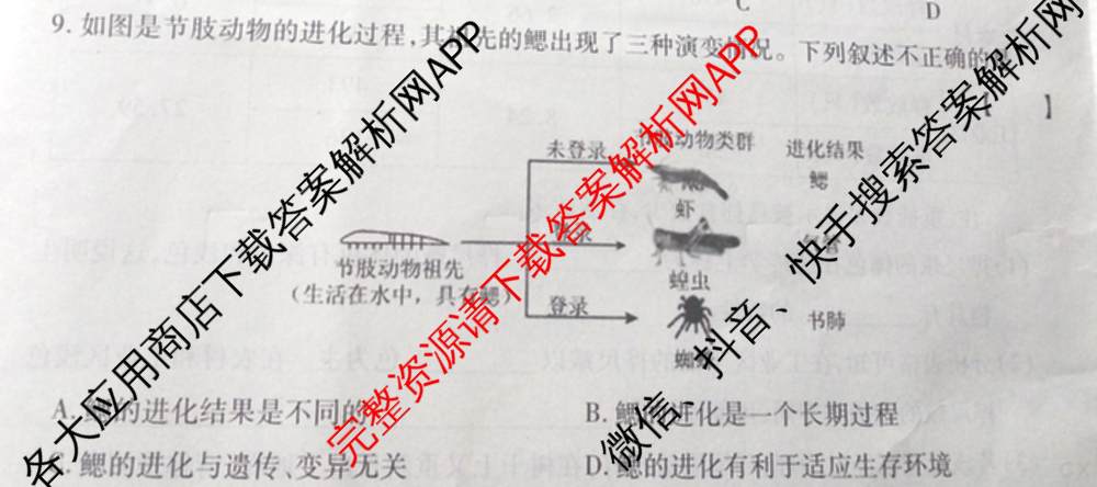 河南省2025春初中学业水平期中质量检测试卷八年级试卷及答案汇总（8科全）生物试题