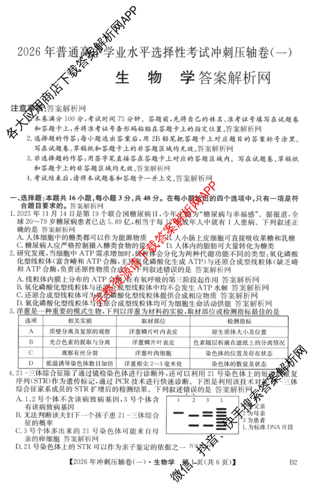 2026年全国高考冲刺压轴卷(一)1（含生物(河南) 地理(C2) 数学等）生物试题
