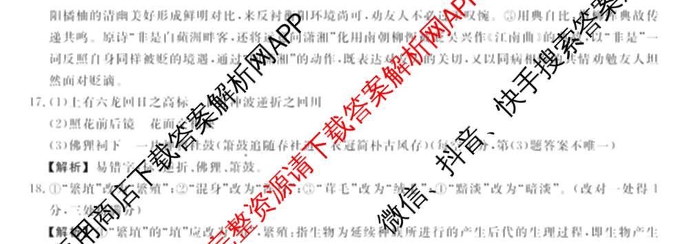 河南省2024~2025年高二下学期期末联考考试(HN)（含政治、英语、物理等）语文试题