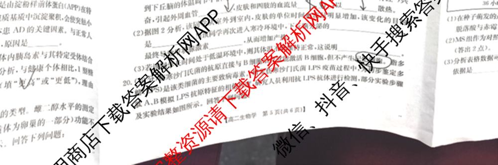 陕西省2024-2025高二期中质量检测(11.6)各科答案及试卷(已更新历史、化学、地理等9份)生物试题