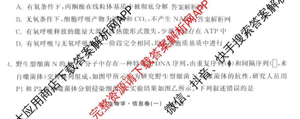 天舟高考衡中同卷2026年普通高等学校招生全国统一考试模拟信息卷(一)1(已更新政治(WY)、政治(河南版)、英语(通用版)等34份)生物试题