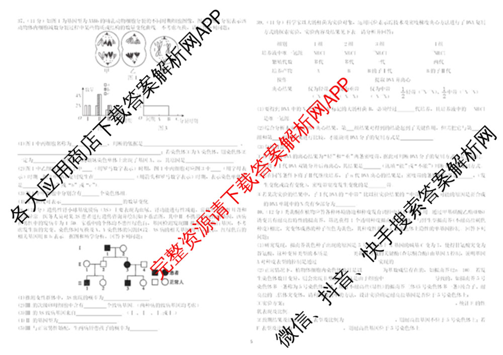 哈师大附中2024~2025学年度下学期高一期末考试试卷及答案汇总（含化学 物理 英语等9份）生物试题