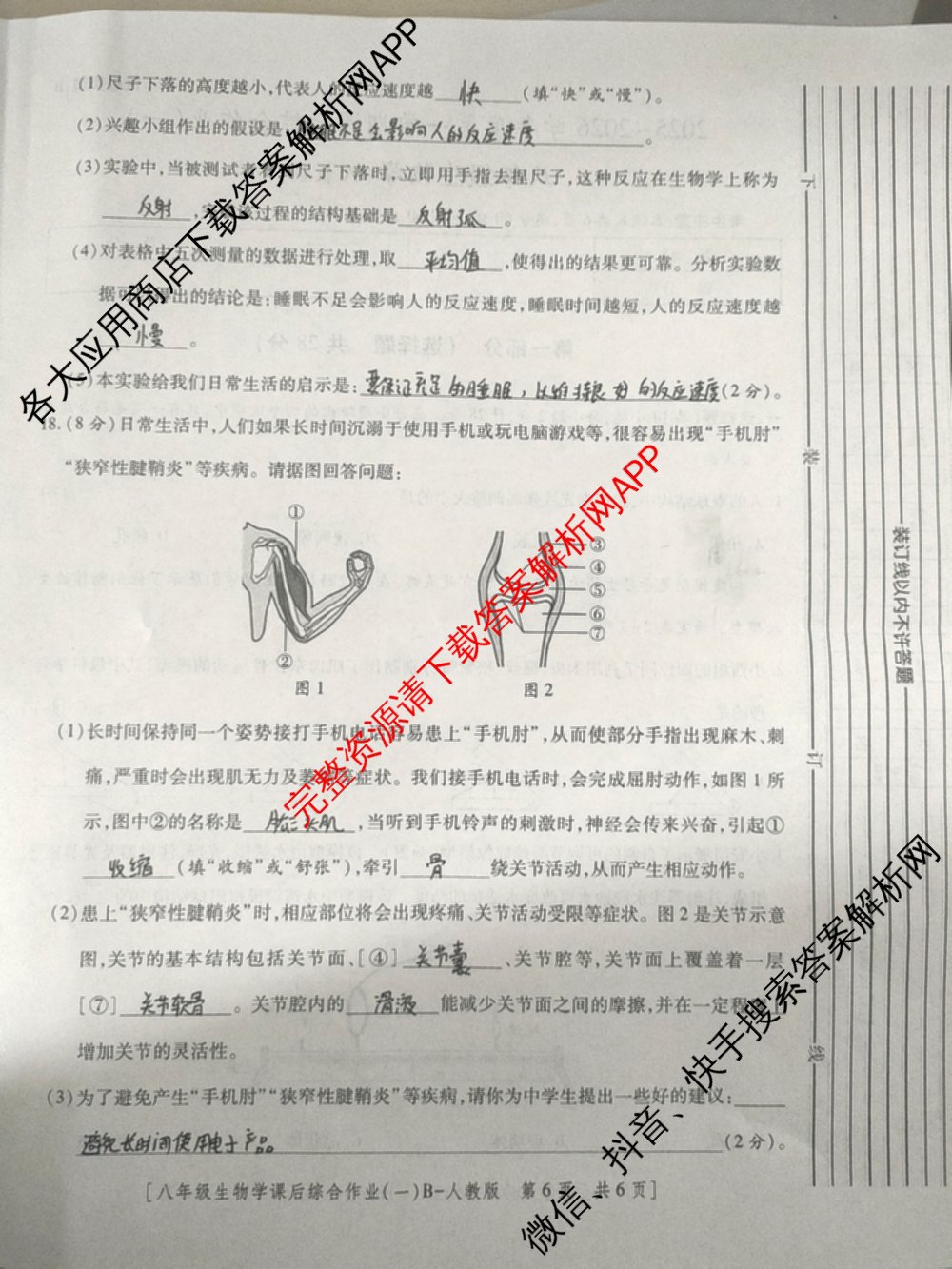 [益卷]2025~2026学年度第一学期课后综合作业(一)[试卷类型B]八年级各科答案及试卷（含物理(北师大版) 历史(统编版) 英语(人教版)等）生物试题
