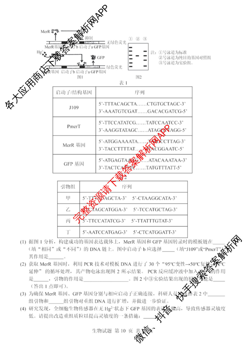 山东省2026年普通高中学业水3月调研试卷及答案汇总（9科全）生物试题