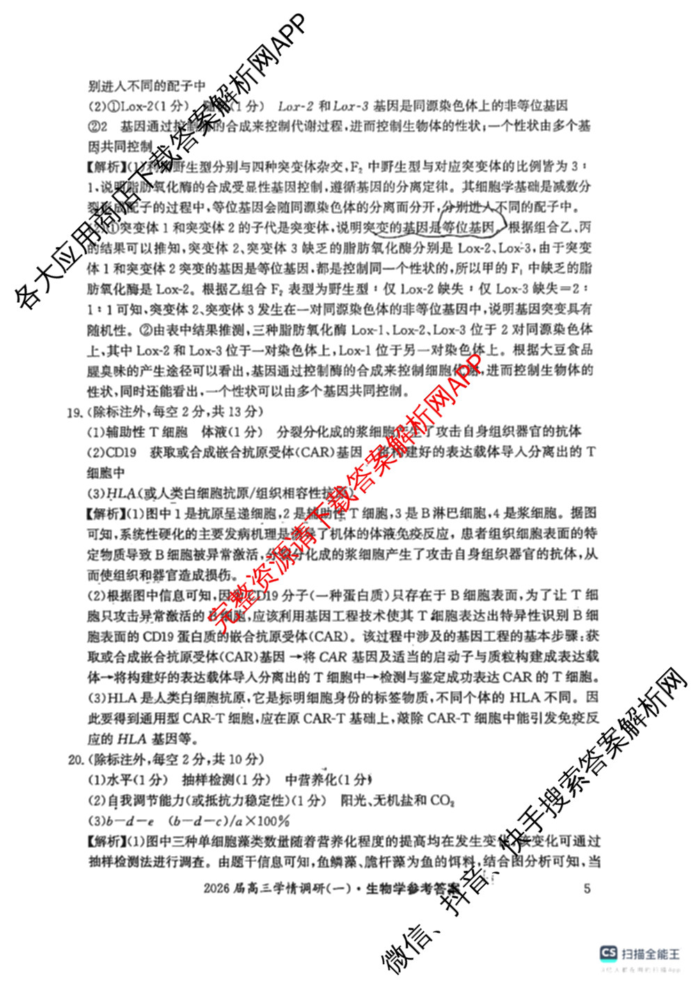 湖南省2026届高三学情调研(一)（含化学、政治、物理等）生物答案