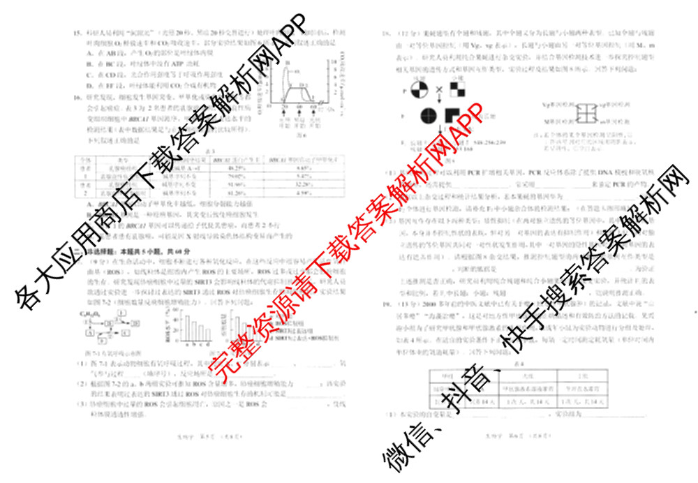 [柳州三模]柳州市2025届高三第三次模拟考试（含历史、地理、语文等）生物试题