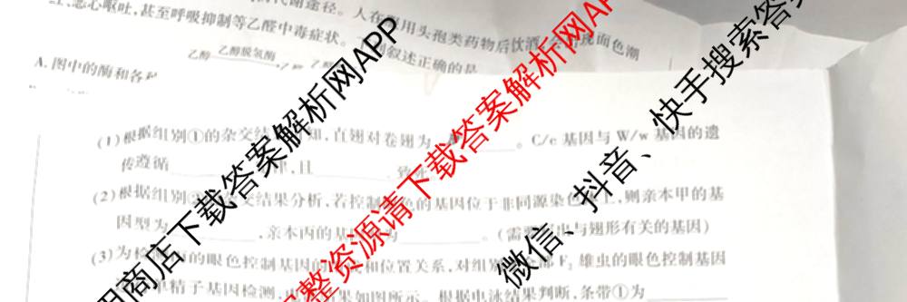 天一大联考安徽省2027届高三9月(标题：高三9月科目): 含生物、日语、语文试卷解析生物试题