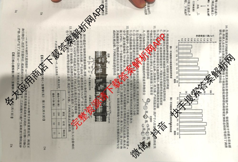 九师联盟2024~2025学年高三核心模拟卷(中)(五)5各科答案及试卷（含地理(HB) 物理(D1) 生物(D1)等）生物试题