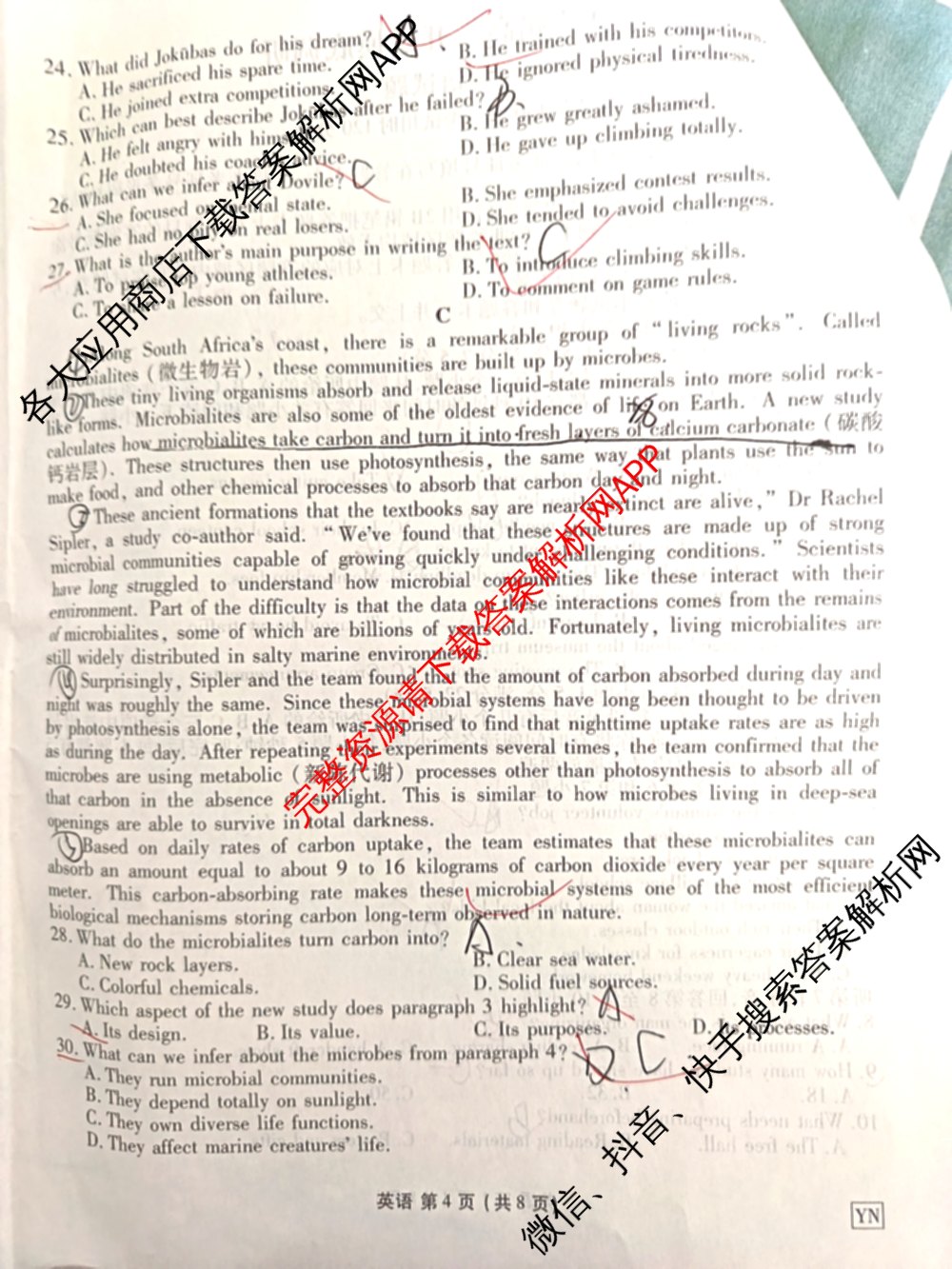 衡水金卷云南省2027届高三开学摸底调研(YN): 含历史、生物、化学试卷解析英语试题