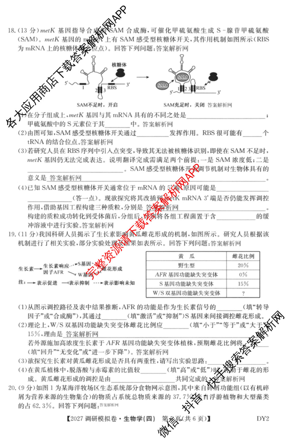 2027届全国高考调研模拟卷(四)试卷及答案汇总（含地理(DY3) 物理(DY3) 政治(DY2)等15份）生物试题