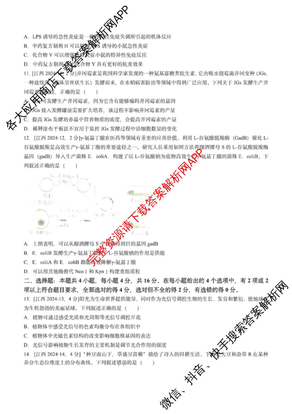 2024年高考真题(新高考)(已更新生物(山东卷) 数学(新课标II卷) 物理(河北卷)等108份)生物试题