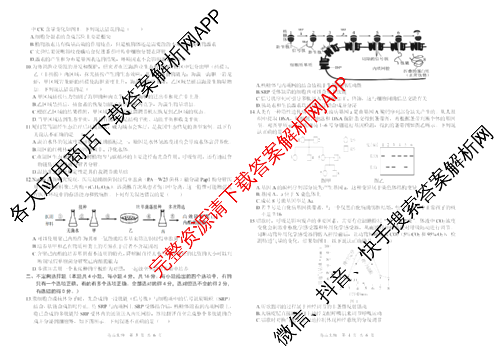 湖南省2024-2025学年高二试卷5月联考(5.28)（含化学、语文、历史等9份）生物试题