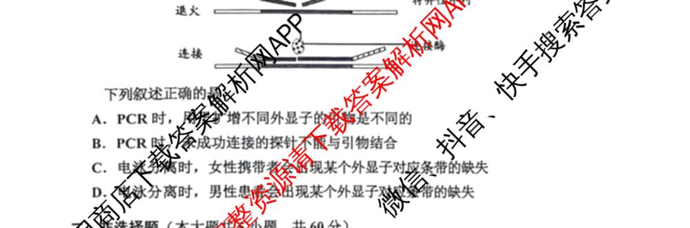 浙江省嘉兴市2026年高三教学测试(2026.04)试卷及答案汇总: 含物理 语文 英语试卷解析生物试题