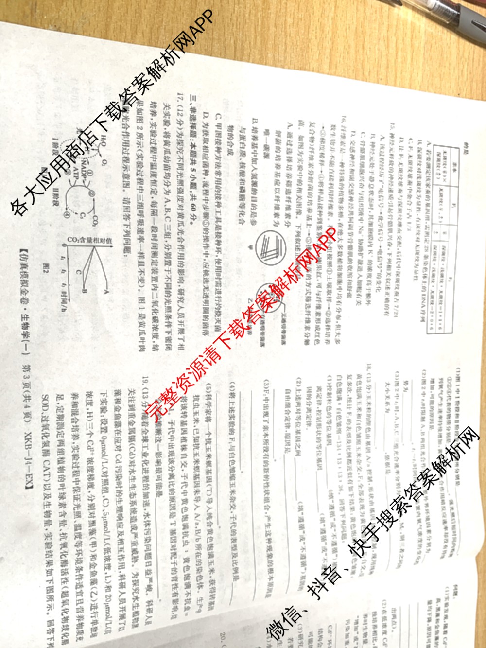 XKB-J-EX 2026届普通高等学校招生全国统一考试仿真模拟金卷(一)1（含物理(XKB-J2-EX)、语文(XKB-J1-EX)、化学(XKB-J1-B-EX)等10份）生物试题
