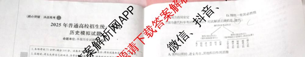 2025年普通高校招生统一考试核心突破决战高考(二)试卷及答案汇总（含地理(G DONG) 英语(G DONG) 物理(YN)等）历史试题