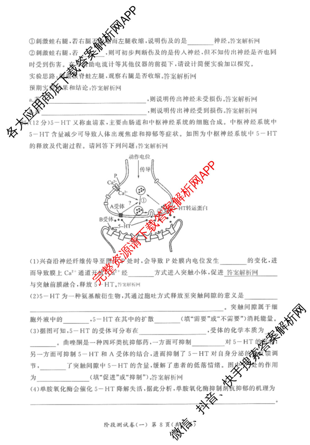 百师联盟2025-2026学年高二上学期阶段测试卷(一)1各科答案及试卷: 含地理(75分钟)、地理(中图版75分钟)、物理(90分钟多选)试卷解析生物试题